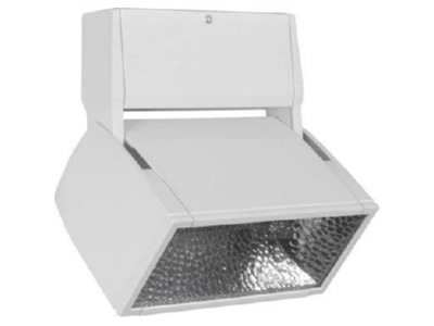 Product image LTS EL 303 30 4 ws Downlight spot floodlight 1x34W
