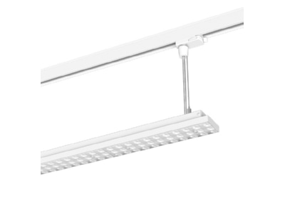 Product image LTS LUZ06 P 15 007 40 ws Pendant luminaire 1x30W
