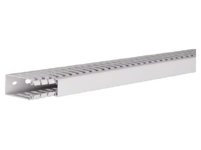 Product image 1 Tehalit HA 760025 lgr Slotted cable trunking system 60x25mm
