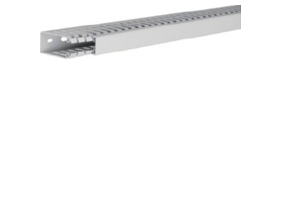 Product image 2 Tehalit HA 760025 lgr Slotted cable trunking system 60x25mm
