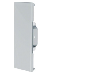Produktbild 2 Tehalit BRS 651706 verz Endplatte