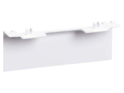 Product image 2 Tehalit SL 20080AC rws Cover for skirting duct 80x20mm