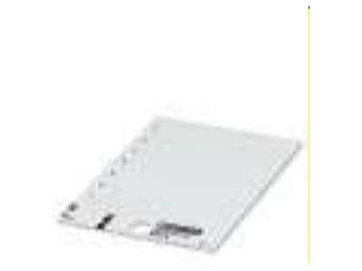 Produktbild 1 Phoenix US EMP  29X8  YE Einrastschildchen gelb  29x8mm