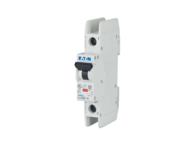 View left 2 Eaton FAZ D20 1 NA Miniature circuit breaker 2 p D20A
