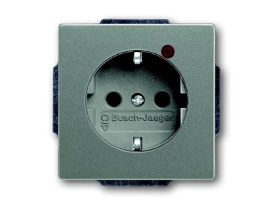 Product image Busch Jaeger 2310EUGL VA 803 11 Socket outlet  receptacle 
