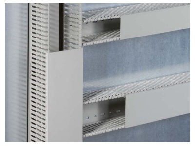 Detailansicht Rittal VX 8800 755  VE18  Kabelkanal BT  50x80mm L 2000mm VX 8800 755  Inhalt  18 