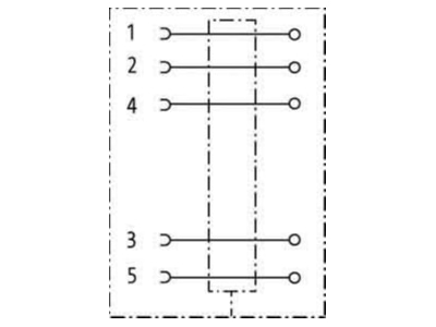 Schaltbild Murrelektronik 7000 13381 0000000 Buchse M12 gerade