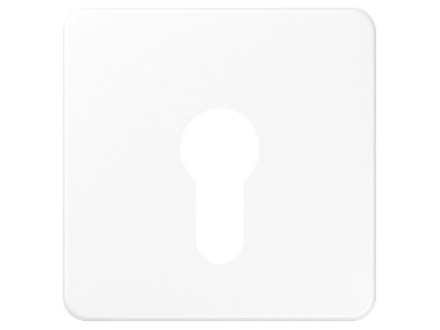 Produktbild Jung CD 525 WW Abdeckung aws fuer Schluesselschalt 