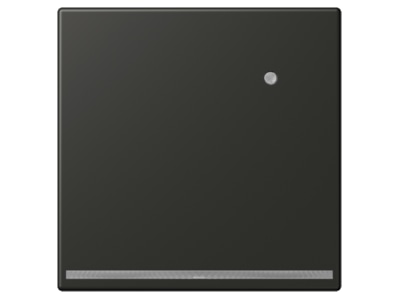 Product image Jung AL 1539 O AN LNW Plug in  night  light
