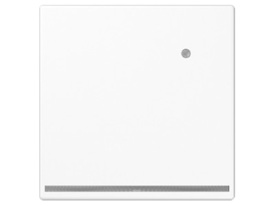 Product image Jung LS 1539 O WW LNW Plug in  night  light
