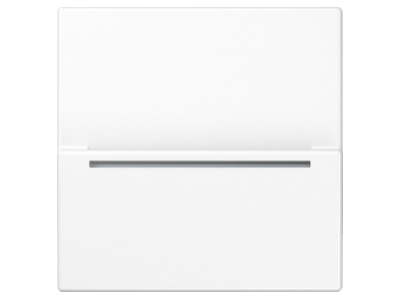 Produktbild Jung LS CARD RFID WW Hotelcard Schalter RFID