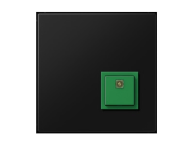 Product image Jung NRS LS 0834 AT SWM Switching device for handicapped people

