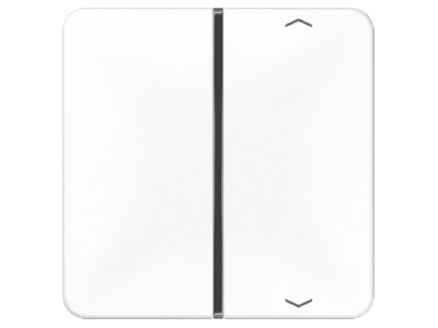 Produktbild Jung CD 401 TSAP WW Taste 1 fach aws Symbol Auf Ab