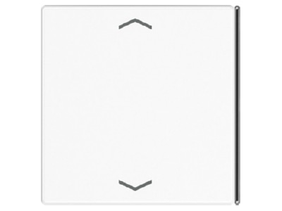 Product image Jung LS 404 TSAP WW 23 Cover plate for switch white

