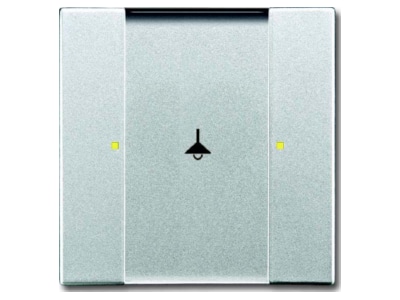Produktbild Busch Jaeger 6125 02 83 Tastsensor 1 2fach Multifunktion
