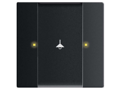 Product image Busch Jaeger 6125 02 885 EIB  KNX touch sensor 2 fold 
