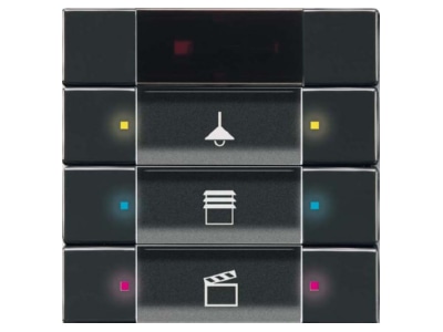 Product image Busch Jaeger 6129 01 81 EIB  KNX button panel 
