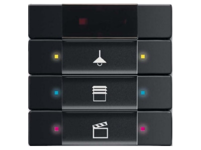 Product image Busch Jaeger 6129 01 885 EIB  KNX button panel 
