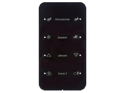 Produktbild 1 Berker 75144165 Touch Sensor 4fach Glas schwarz