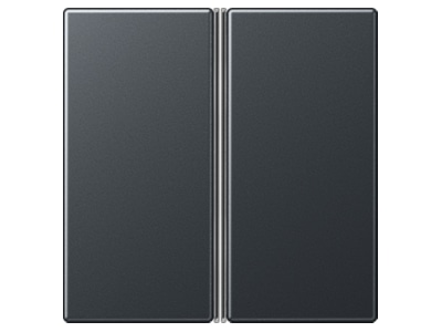 Product image Jung A 402 TSA ANM Cover plate for switch anthracite
