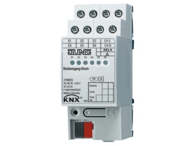 Produktbild Jung 2116 REG Binaereingang 6 fach REG AC DC 2TE