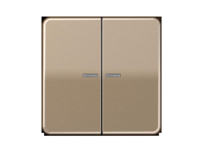 Produktbild Jung BT CD 17102 GB Taster 2fach JUNG HOME