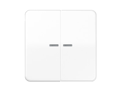 Mazeichnung 1 Jung BT CD 17102 GB Taster 2fach JUNG HOME