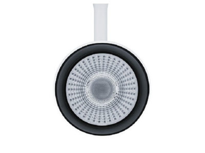 View right Zumtobel LUCA L 38 3200 940WH Downlight spot floodlight
