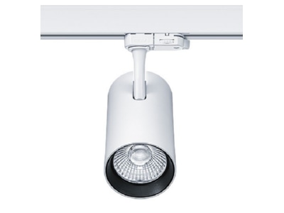 Angled view Zumtobel LUCA L 38 3200 940WH Downlight spot floodlight
