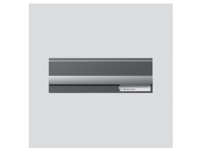 Produktbild 1 Siedle BE 611 3 1 0 DG Brief Einwurfklappe dgr gli