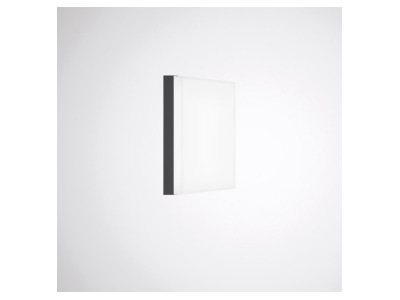 Product image 1 Trilux Olisq QWD2 ZDR1 2 05 Decor element for luminaires
