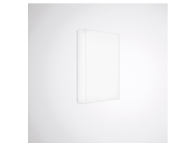 Product image 1 Trilux Olisq QWD3  8250540 Ceiling  wall luminaire LED exchangeable Olisq QWD3 8250540
