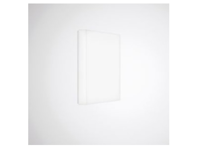 Product image 2 Trilux Olisq QWD3  8250540 Ceiling  wall luminaire LED exchangeable Olisq QWD3 8250540