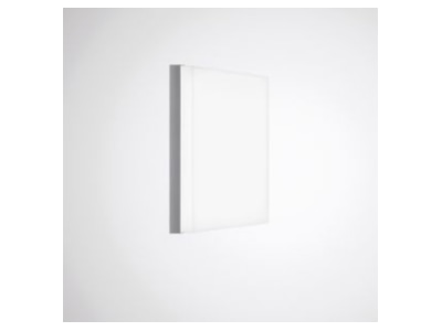 Product image 2 Trilux Olisq QWD3 ZDR1 2 03 Decor element for luminaires