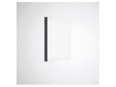 Product image 2 Trilux Olisq QWD3 ZDR1 2 05 Decor element for luminaires
