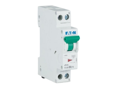 View right Eaton PLN6 B6 1N DE Miniature circuit breaker 2 p B6A