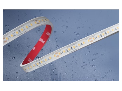 Product image Barthelme 51540534 Light ribbon  hose  strip 24V white
