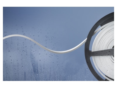 Product image Barthelme 51540733 Light ribbon  hose  strip 24V white
