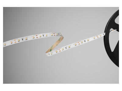 Product image Barthelme 51541128 Light ribbon  hose  strip 12V white
