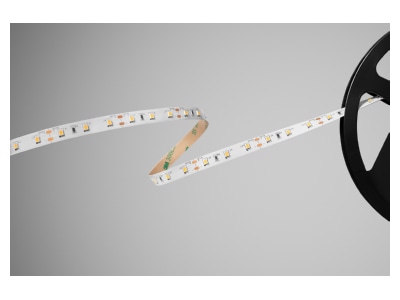 Product image Barthelme 51541134 Light ribbon  hose  strip 12V white
