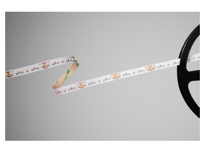 Product image Barthelme 51541330 Light ribbon  hose  strip 24V white
