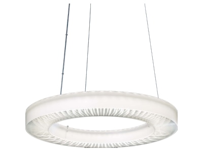 Product image Ridi Leuchten IRIS L PS11000 840ND Pendant luminaire LED exchangeable
