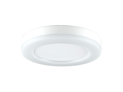 Product image EVN RF30150125 Ceiling  wall luminaire
