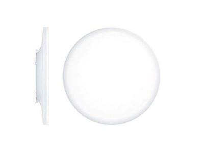 Produktbild Zumtobel CAELA RLS  60817671 LED Wand  Deckenleuchte 4000K CAELA RLS 60817671