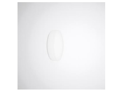 Product image 1 Trilux WanneOlisqRWD1Ersatz Accessory for luminaires
