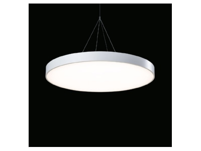Product image Ridi Leuchten STORA RP  SPC0620065 Pendant luminaire LED exchangeable STORA RP SPC0620065
