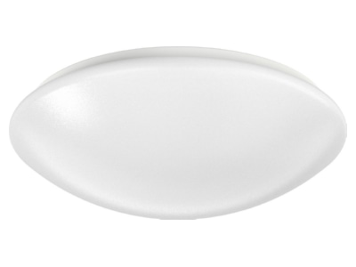 Product image Ridi Leuchten RUFO2  0420841  396 Ceiling  wall luminaire LED exchangeable RUFO2 0420841  396
