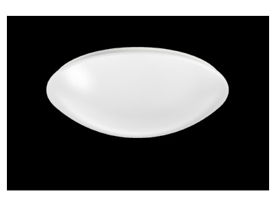 Product image Ridi Leuchten RUFO2460DAWS830H0350 Ceiling  wall luminaire LED exchangeable
